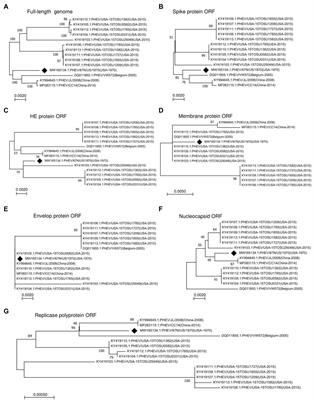 Genetic Characteristics of Porcine Hemagglutinating Encephalomyelitis Coronavirus: Identification of Naturally Occurring Mutations Between 1970 and 2015